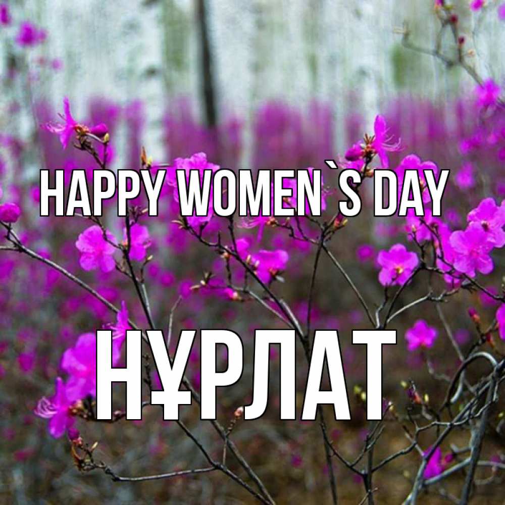 Greetings card с именем, НҰРЛАТ happy women`s day дикие цветы Greetings with text for free download 